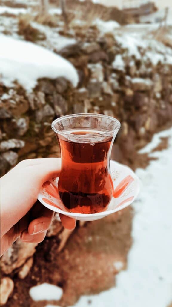 What Are Some Popular Brands Of Hibiscus Tea?